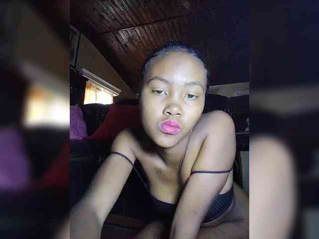 Stella11 webcam