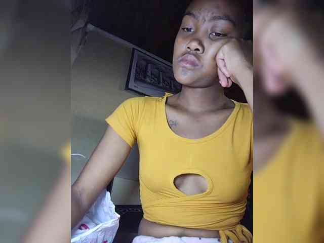 Stella11 webcam