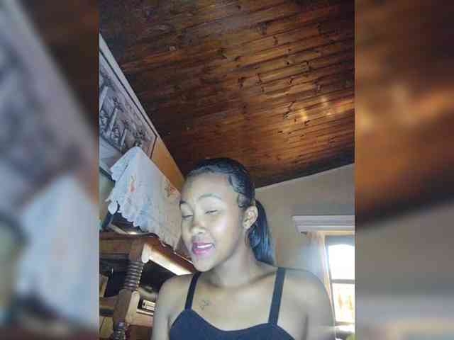 Stella11 webcam