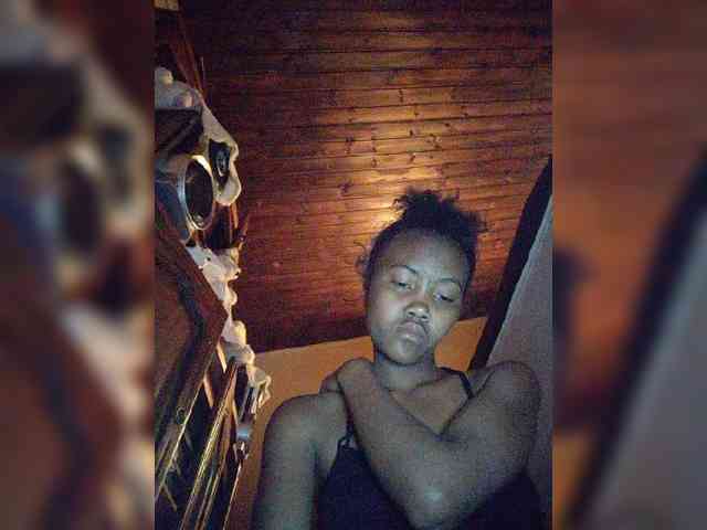 Stella11 webcam