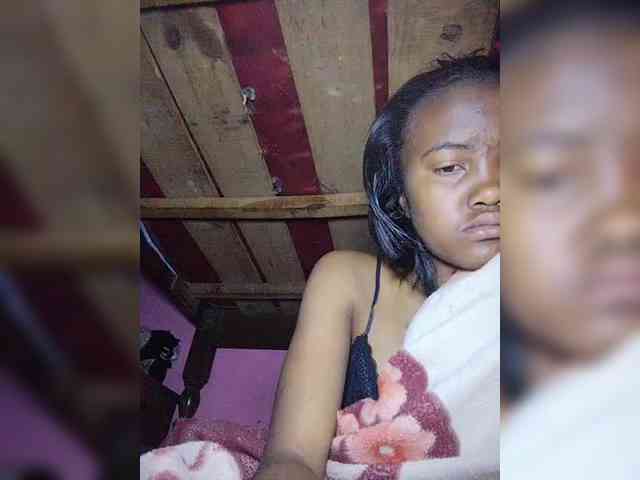 Stella11 webcam