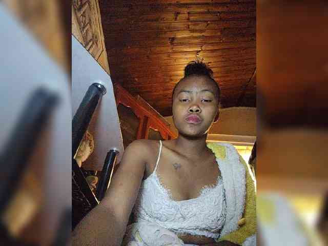 Stella11 webcam