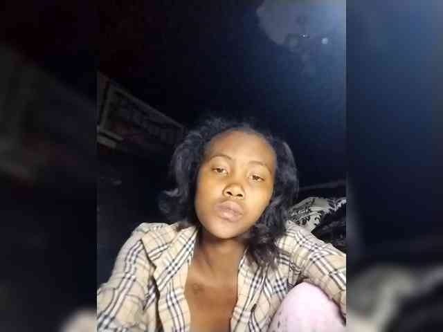 Stella11 webcam