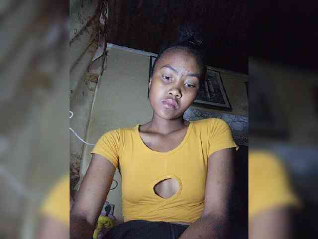 Stella11 webcam