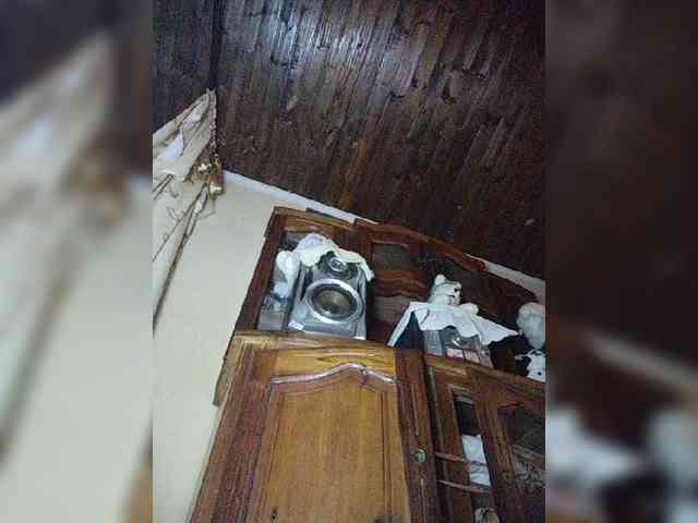 stella11's live room