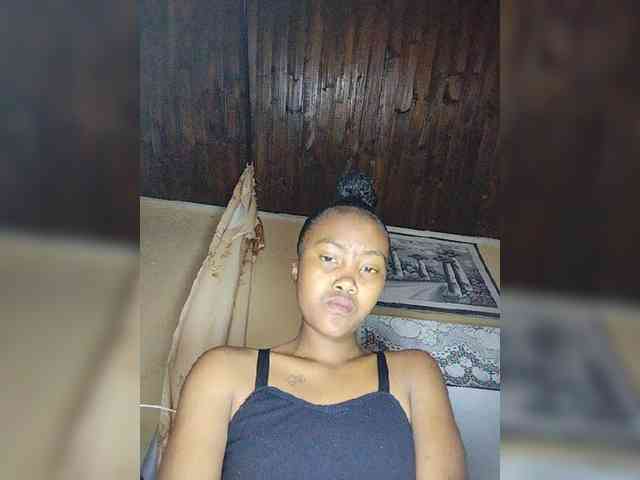 Stella11 webcam