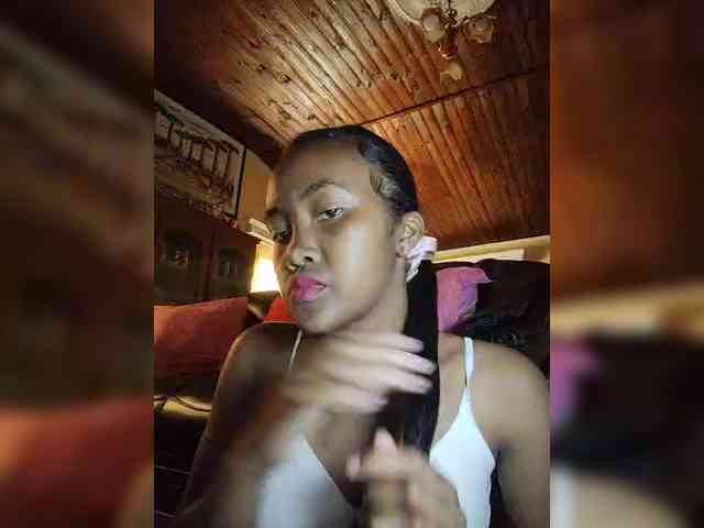 Stella11 webcam
