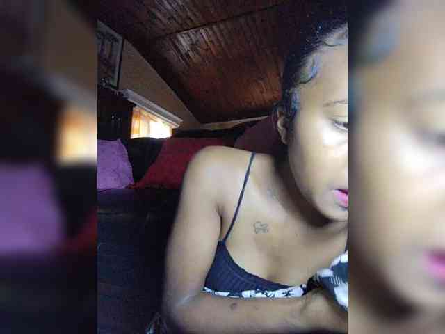 Stella11 webcam