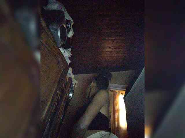 Stella11 webcam