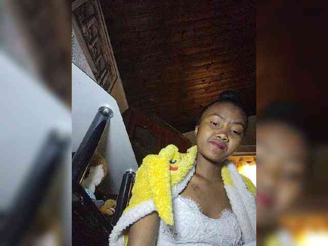 Stella11 webcam