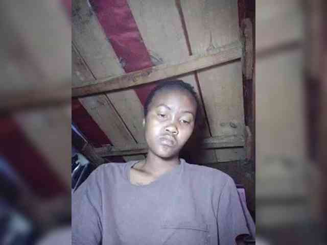 Stella11 webcam