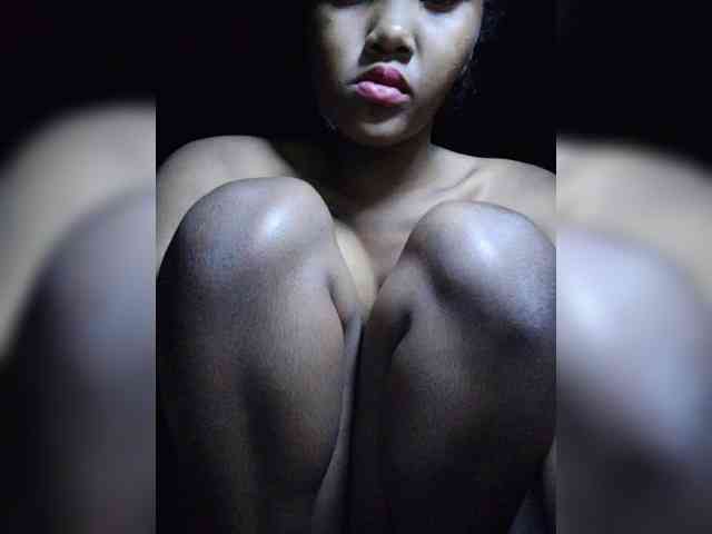 Stella11 webcam