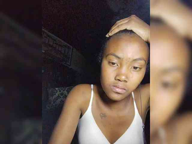 Stella11 webcam