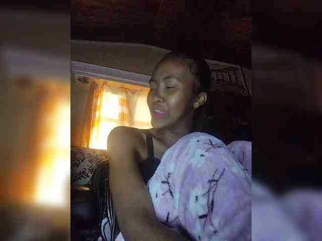 Stella11 webcam