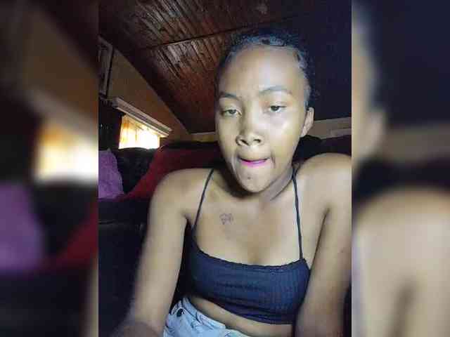 Stella11 webcam