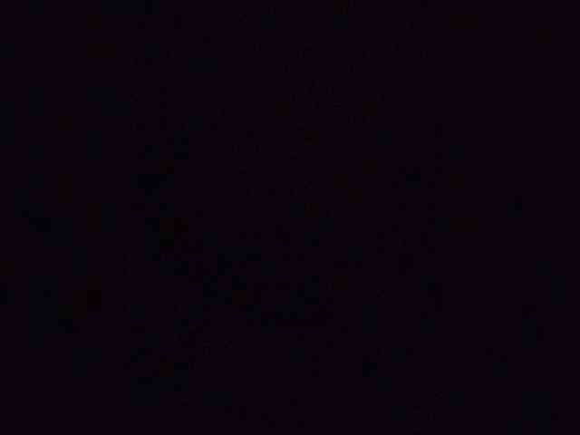 Stella11 webcam