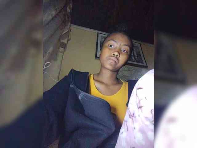 Stella11 webcam