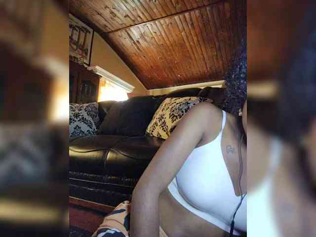 Stella11 webcam
