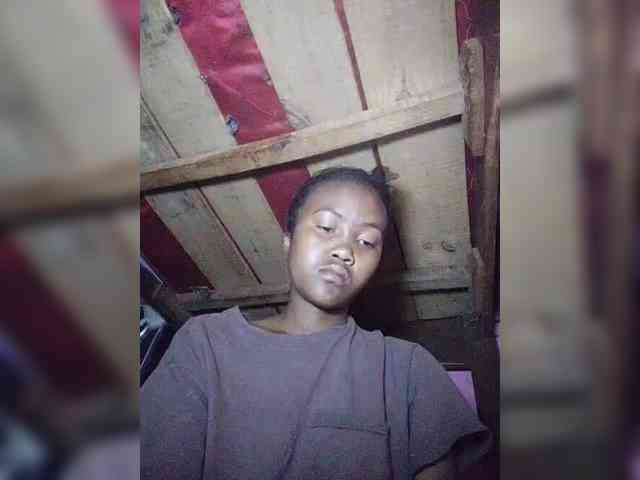 Stella11 webcam