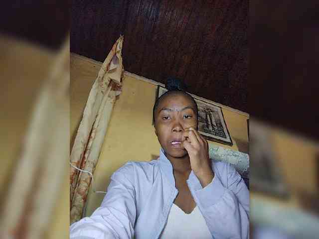 Stella11 webcam