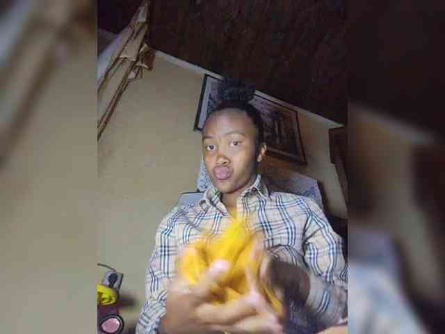 Stella11 webcam