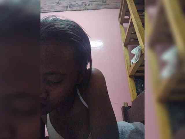 Stella11 webcam
