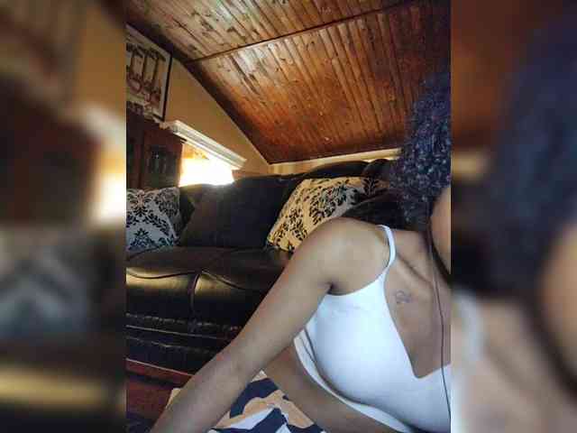 Stella11 webcam