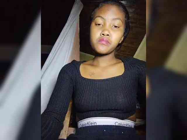 Stella11 webcam