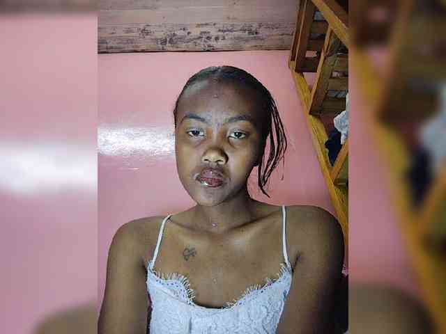 Stella11 webcam