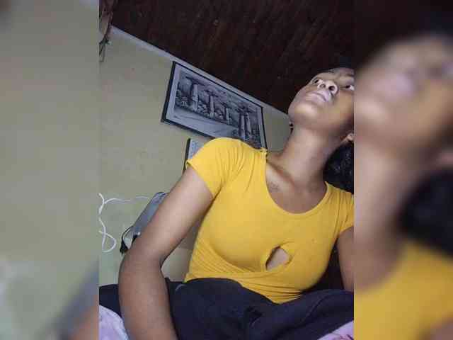 Stella11 webcam