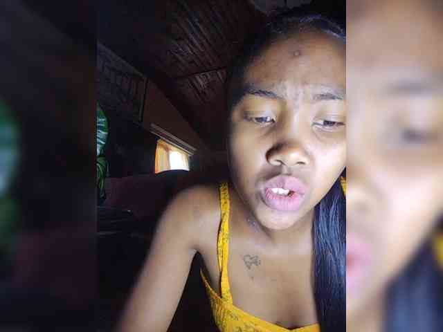 Stella11 webcam