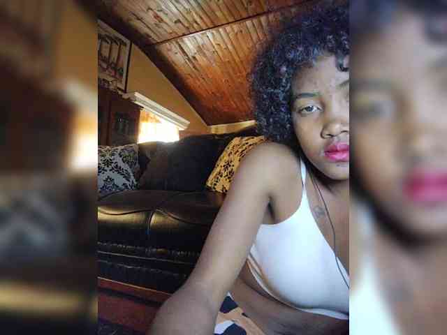 Stella11 webcam