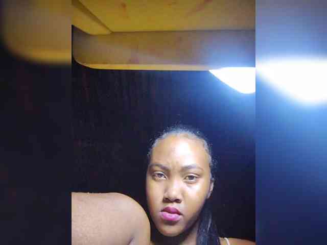 Stella11 webcam