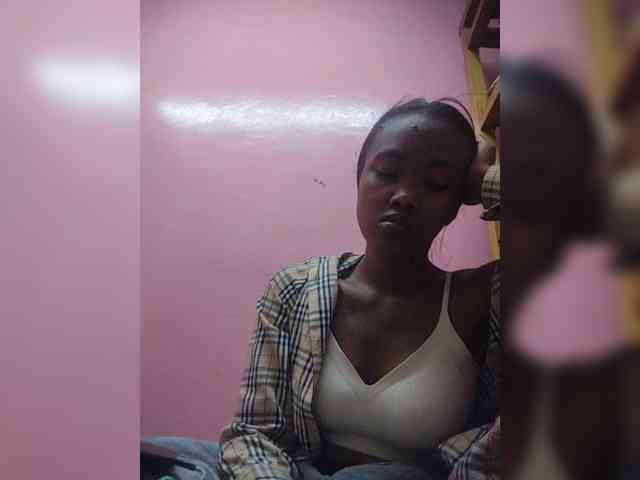 Stella11 webcam