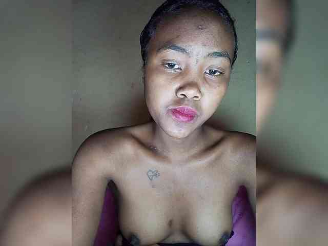 Stella11 webcam