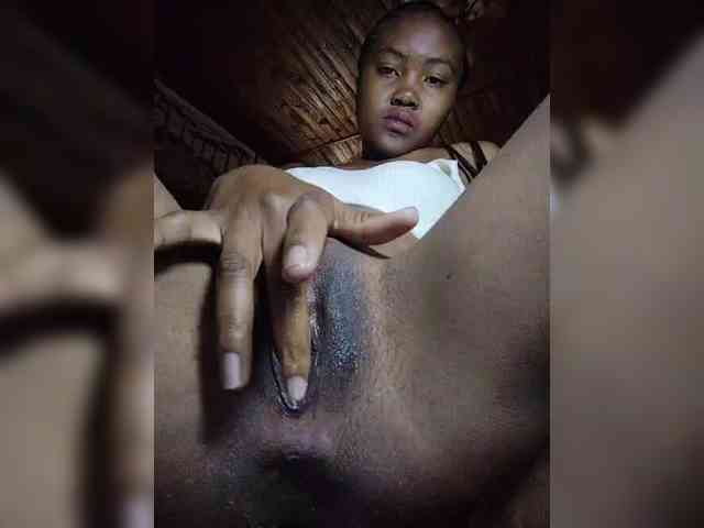 Stella11 webcam