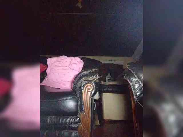 Stella11 webcam