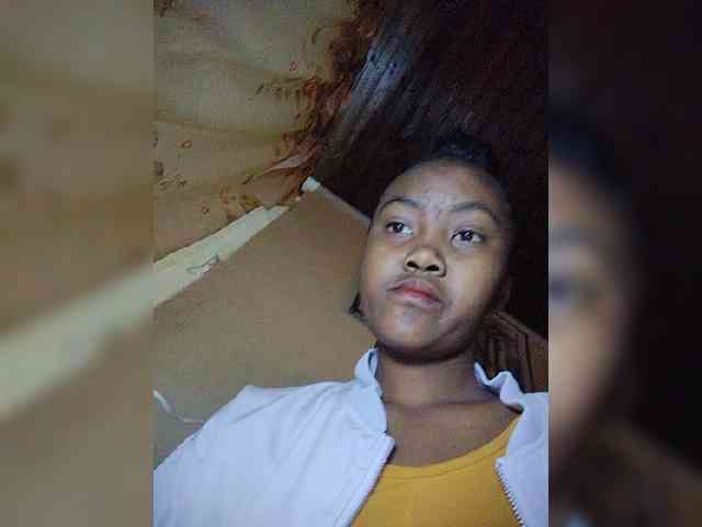 Stella11 webcam