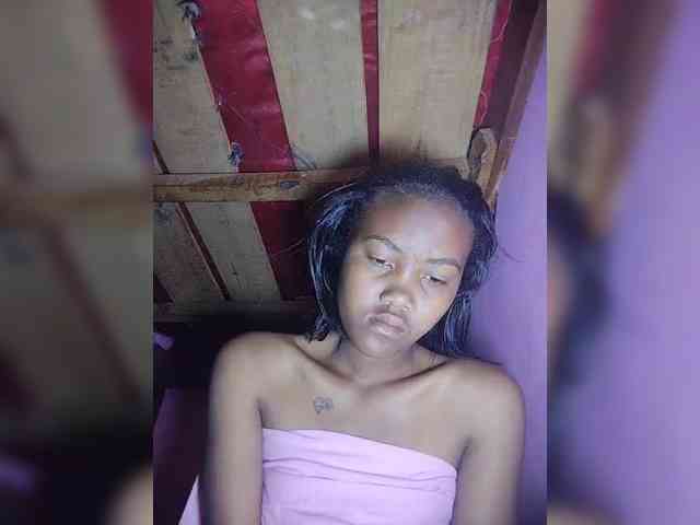 Stella11 webcam