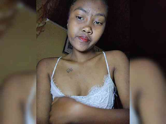 Stella11 webcam