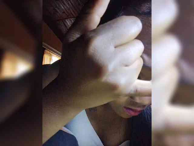 Stella11 webcam