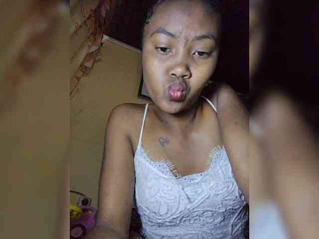 Stella11 webcam