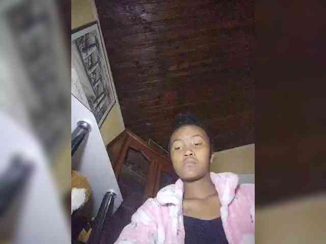 Stella11 webcam