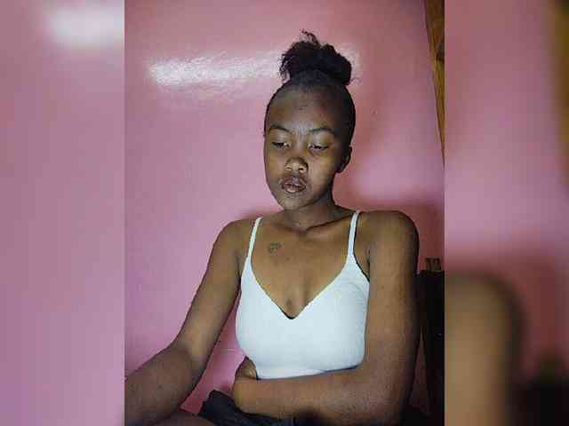 Stella11 webcam