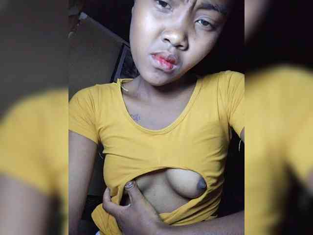 Stella11 webcam