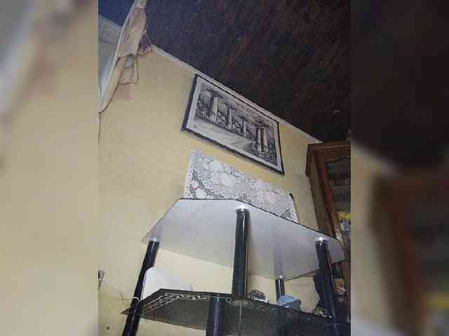 Stella11 webcam