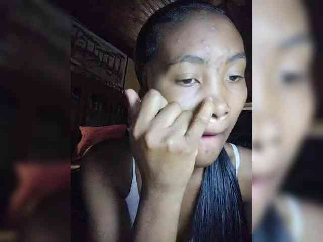 Stella11 webcam