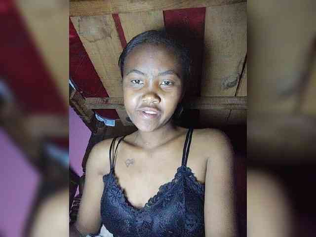Stella11 webcam