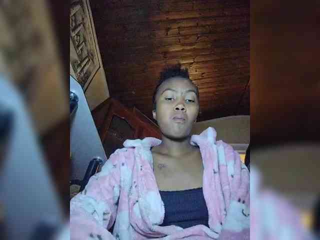 Stella11 webcam
