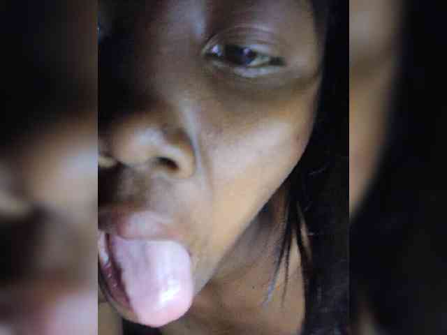 Stella11 webcam